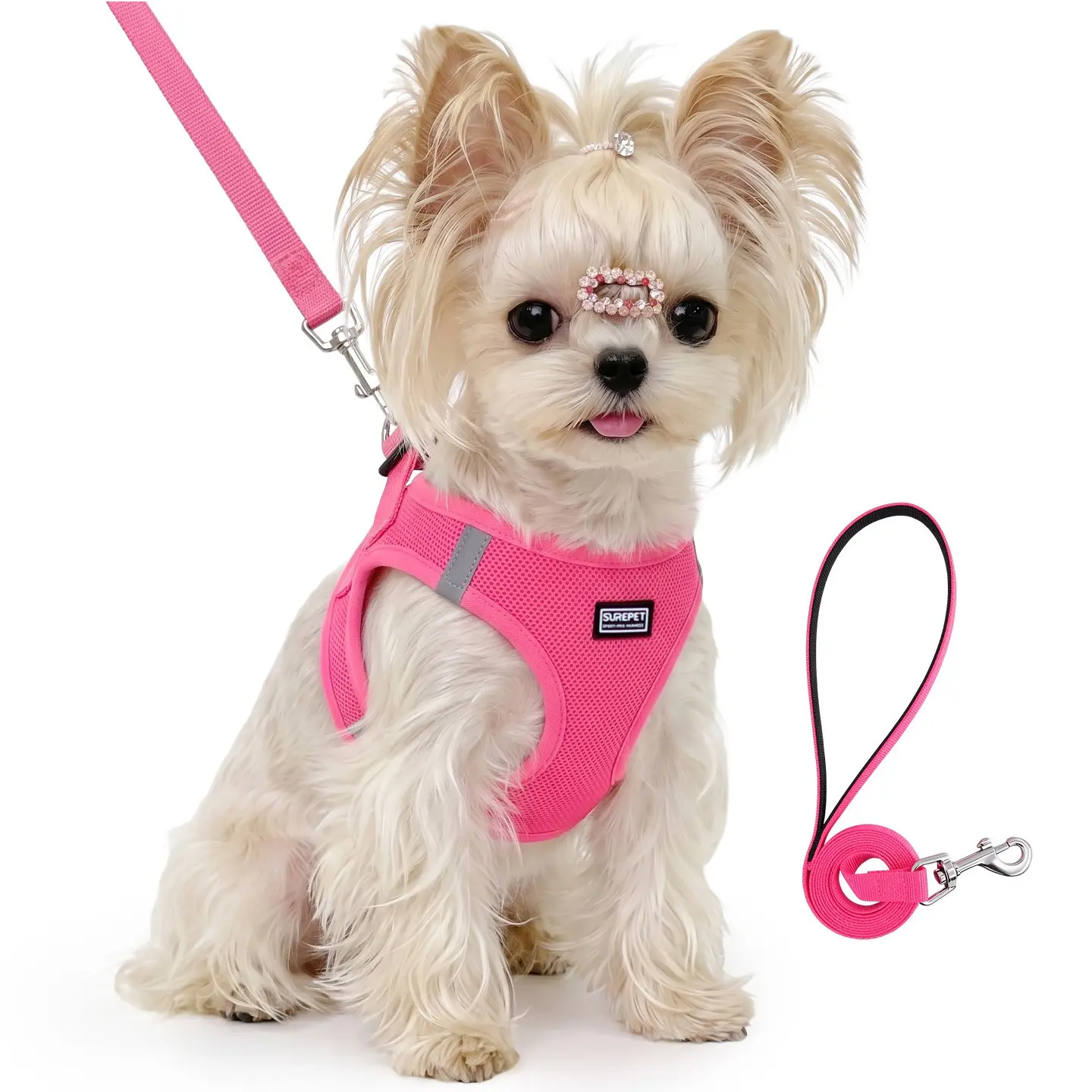 Dog Harness for Small Medium Dogs, Puppy Harness and Leash Set for Training, Comfortable Dog Vest Harness, Ideal for Small Dogs