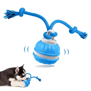 Interactive Pet Toy with Rope, Smart Puppy Ball, Dog Entertainment Puzzle Toy, Automatic Electric Rolling Ball, Bouncy Pet Fetch Ball