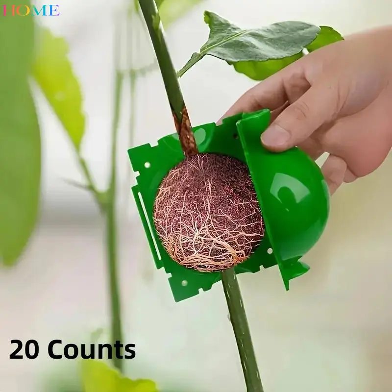 HOME 20-Pack Plant Rooting Device, Gardening, Pressure Propagation Box, Plastic Rooting Equipment, Cutting Rooting and Grafting Tool