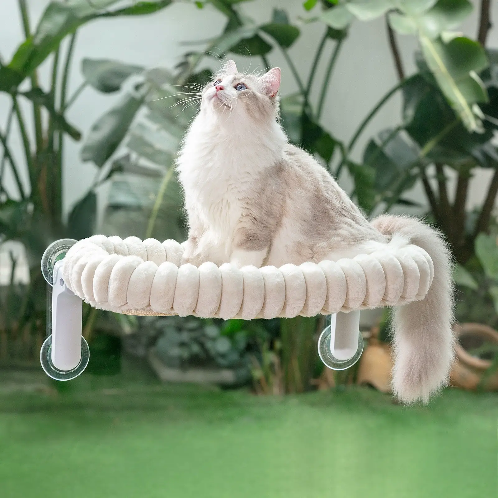Foldable Cat Window Bed Hammock, Suction Cup Cat Bed, Hanging Cat Seat Frame, Soft Plush Cushion, Washable, Indoor Home Large Cats, Easy Assembly 54x30cm