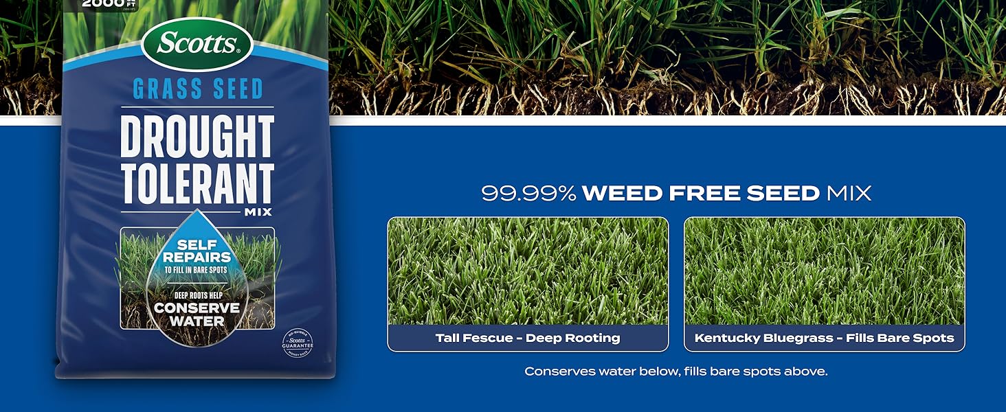 Grass Seed Drought Tolerant Mix, Kentucky Bluegrass and Tall Fescue Grass Seed Mix, Covers up to 5,000 sq.ft., 10 lb. Grass Seed Drought Tolerant Mix, Kentucky Bluegrass and Tall Fescue Grass Seed Mix, Covers up to 5,000 sq.ft., 10 lb.