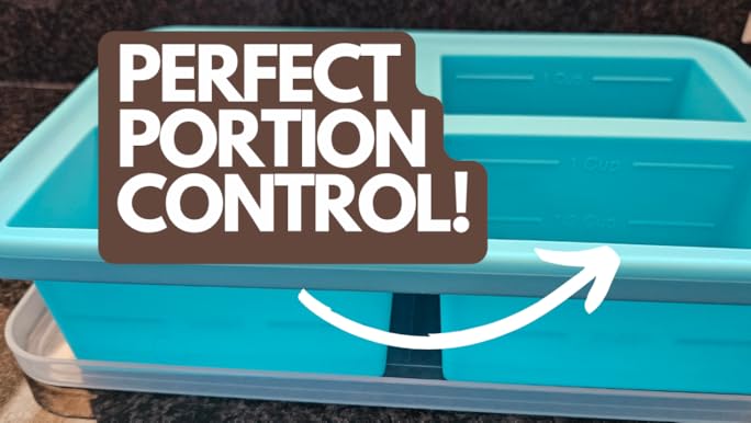 1 Cup Silicone Freezer Trays with Lid, 2 Ice Cube Freezer Molds, Silicone Ice Cube Tray, Easy Meal Prep, Silicone Mold for Soup and Food Storage Stainless Steel