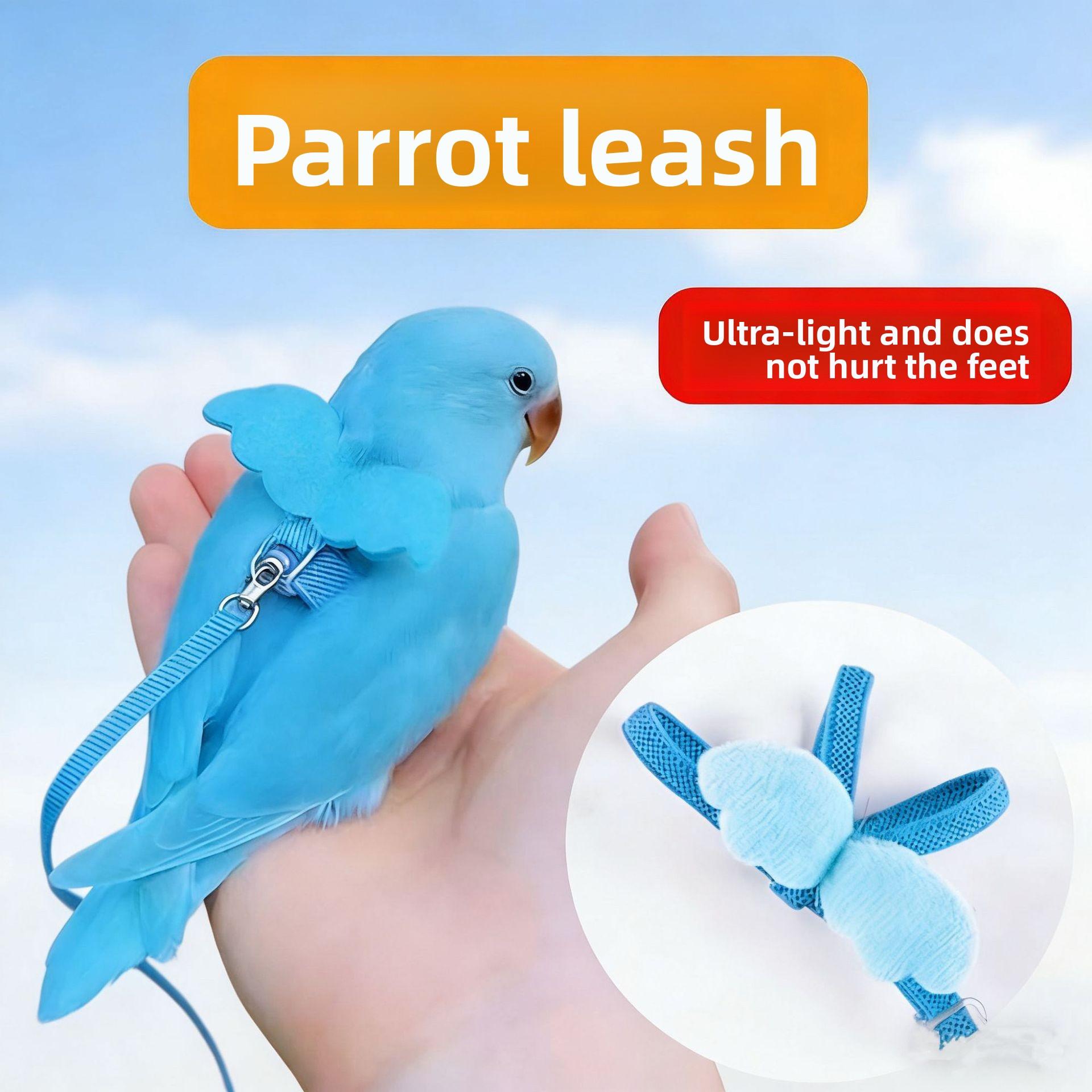 Parrot Leash for Outdoor Training Lightweight No-Foot Injury Bird Harness