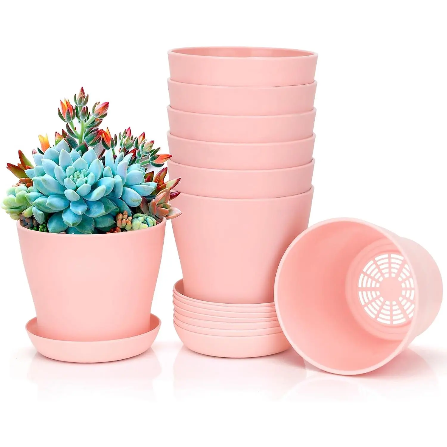 8 count  Pots,3.8" Flower Pots,Gardening Gifts,Plastic Pot for , Succulent Pot Planters for Indoor ,Small Flower Pots,Cute  Pots