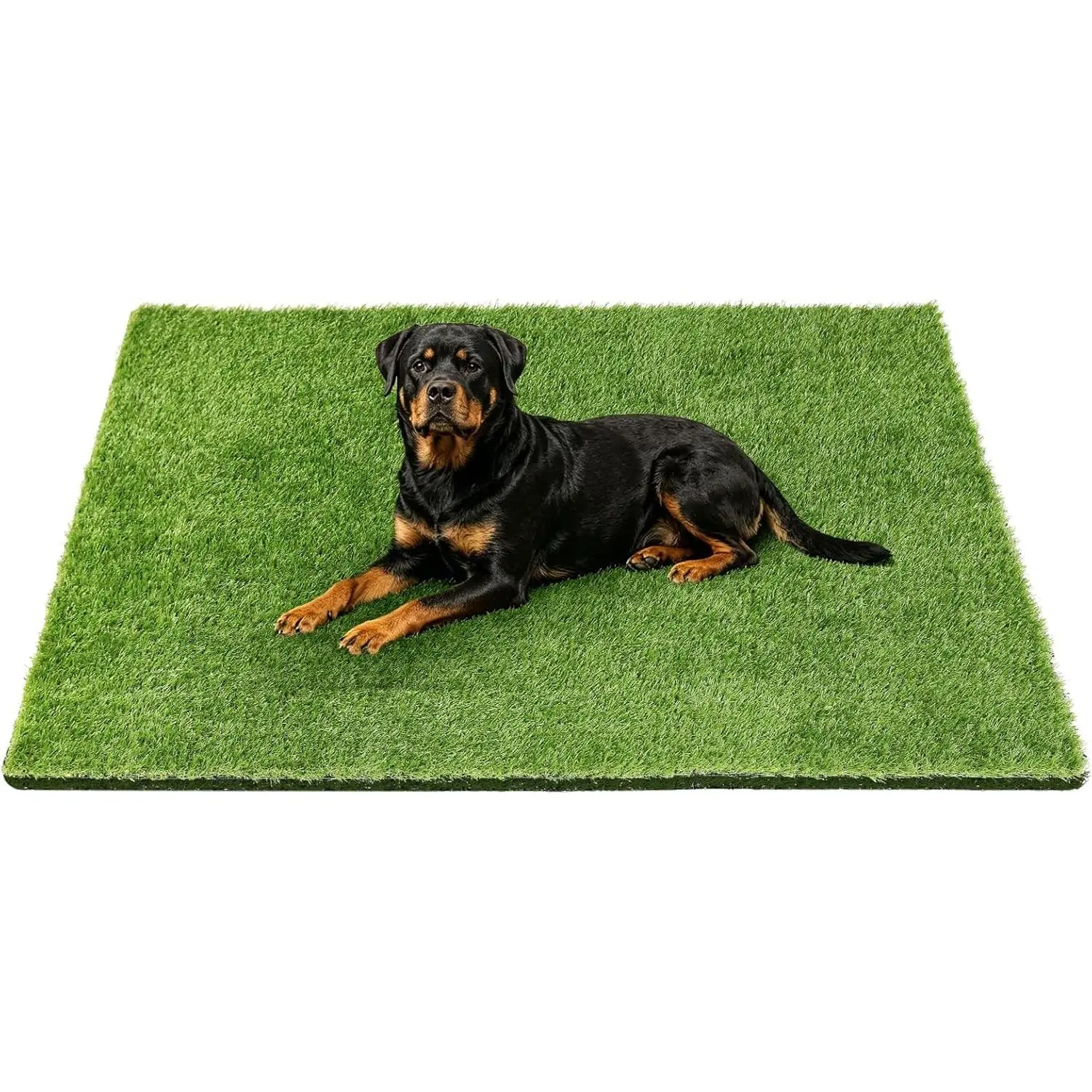 48" x 32" Premium Artificial Grass Mat for Dogs Cats | Washable Fake Turf Rug for Pet Pee Potty Training Patio Lawn Balcony Door Decoration