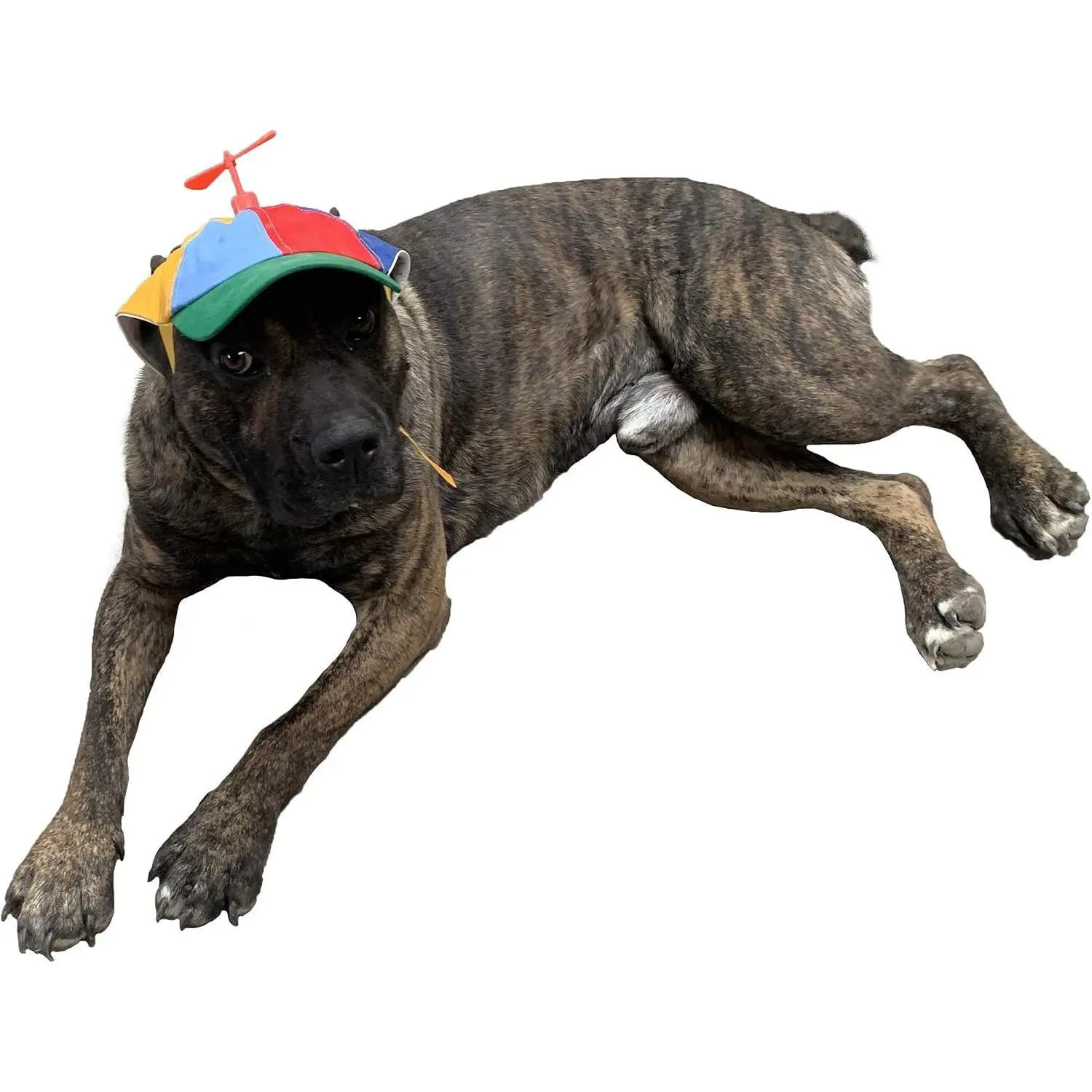 Dog Hats with Funny Propeller, Size and Rope Double Adjustment Pet Hats for Small, Medium, Large Dog and Cat (Iridescent)