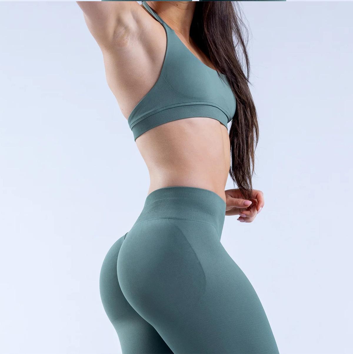 Seamless High Stretch Halter Sports Bra, Ultra Soft Matte Nylon Backless Criss Cross Workout Bra for Yoga Fitness