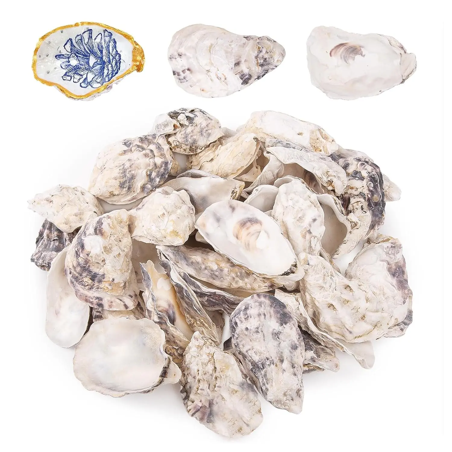 25PCS Concave Oyster Shells for Crafts 3"-4", Natural Oyster Decor | Bulk Oyster Shells for Decoupage Home Vase Filler, Xmas Ornaments, DIY Arts, Seashells for CraftingGift