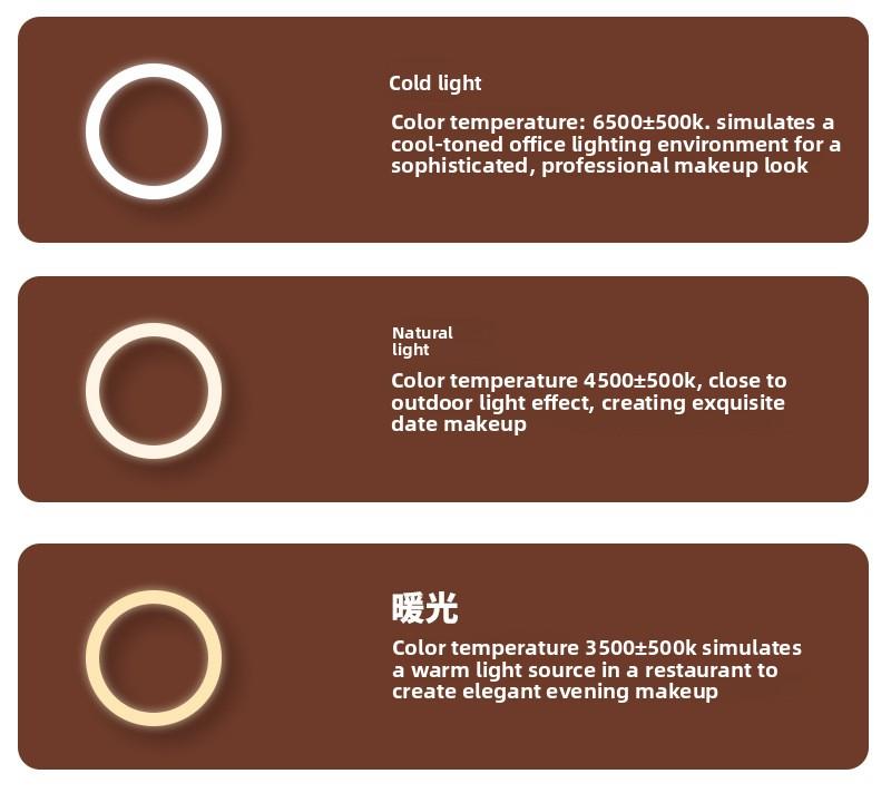 Internet Celebrity LED Makeup Case with Light and Mirror, Portable LED Makeup Bag with Large Capacity, Multifunctional Cosmetic Storage Organizer for Travel and Daily Use, Adjustable Light Makeup Box