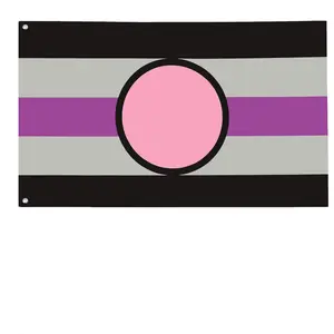 Aspec Fictosexual Fictonsexual Pride Flag, 100% Polyester with 2 Grommets, 2 Sizes, Wall Banner Poster Sail Sign for Indoor Outdoor Home Garden Decoration