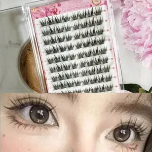 Directly Applied False Eyelashes, 80pcs Asian Style False Eyelashes, High Value, Self-Adhesive False Eyelashes, Dense C Curl, 10-12mm Length