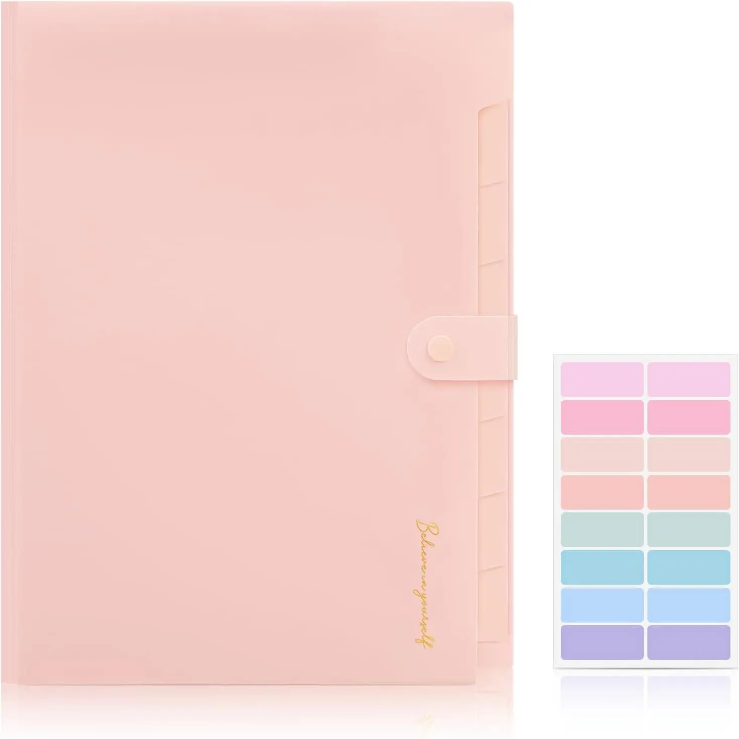 8-Pocket Expanding File Folder, Accordion File Organizer with Lables, Portable Bill Receipt Paper Holder for School Office , Letter/A4 Size