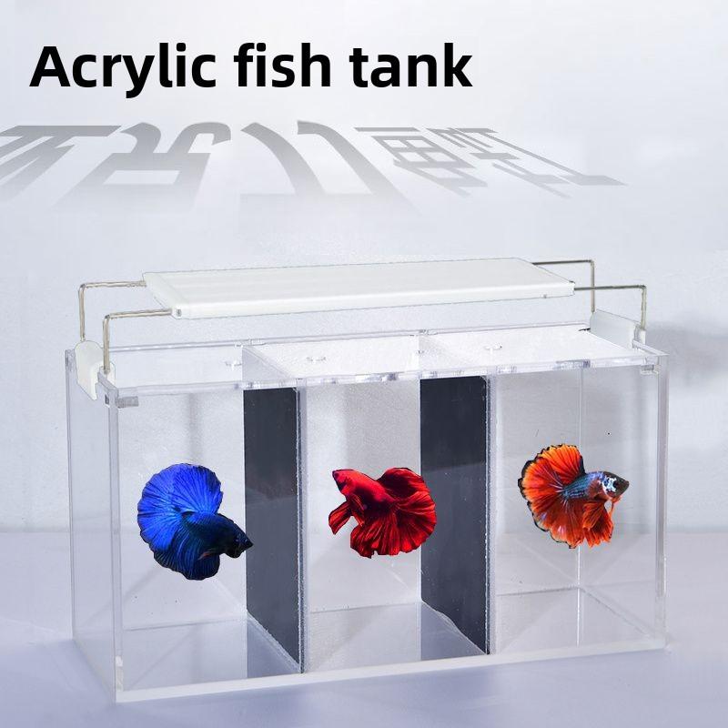 Master Fish Tank Acrylic Fighting Fish Tank Sparring Tank Double Tank PK Tank Small High Definition Explosion Proof Tank