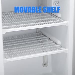 COWSAR 3.0 Cu.Ft Compact Chest Upright Freezer Single Door Reversible Stainless Steel Door, Compact Adjustable Removable Shelves for Home Office, Silver