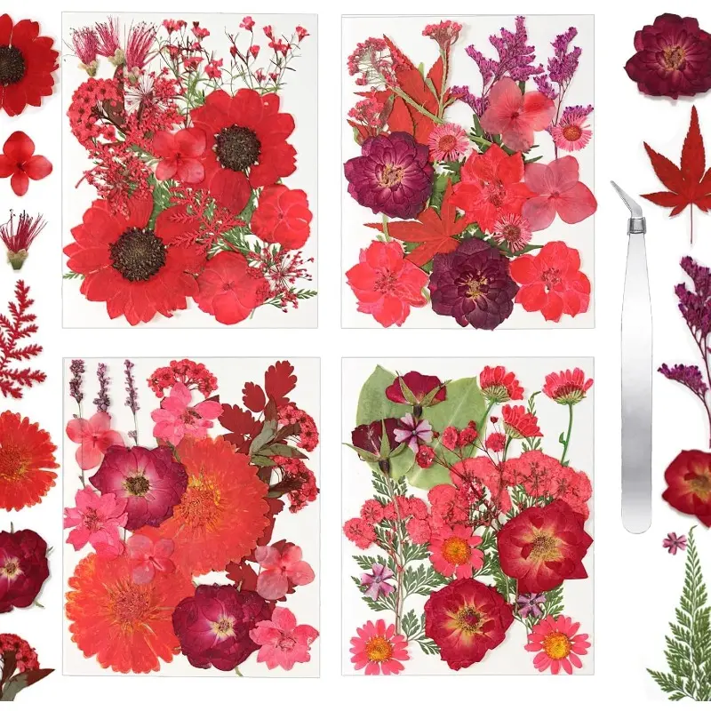 Dried Flowers for Resin Vacuum Packed DIY Pressed Flowers