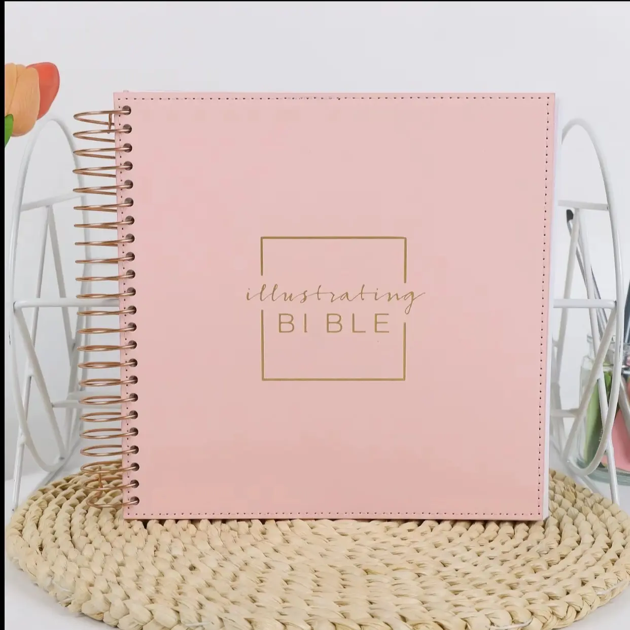 New International Version Bible, Spiral-Bound Illustrated Edition, Softcover, Journaling & Sketching Space, Contemplative Design