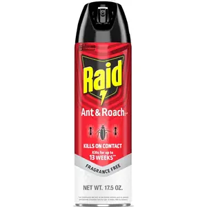 Raid Ant & Roach Killer, Fragrance Free Bug Killer for Home Use, Kills Bugs on Contact, 17.5oz