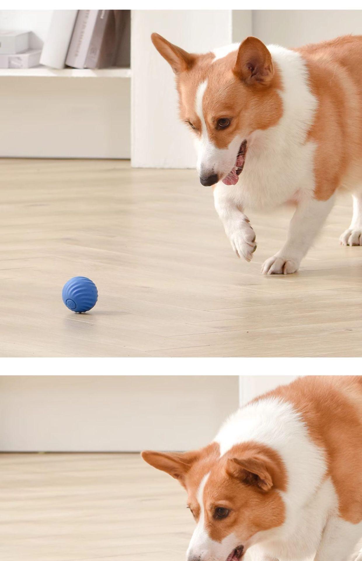 Gravity Jumping Ball Smart Rechargeable Pet Toy Automatic Rolling Interactive Chase Ball for Dogs Cats Livestock Prod with Flexible Shaft pet stuff dog pepper spray dog bugs detector reverse slow feeder shaped harness raised food bowl surprise gift k9