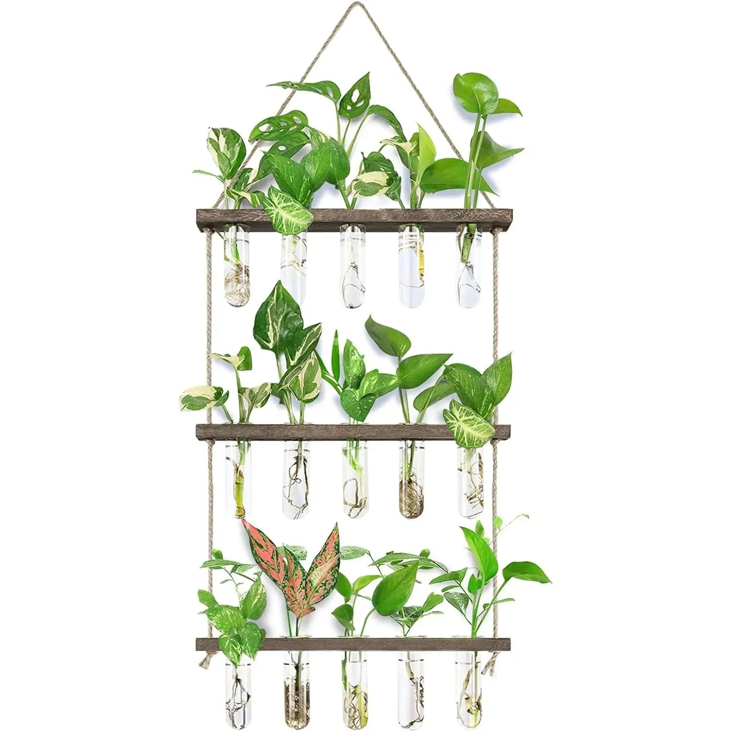 Wall Hanging Propagation Station with Wooden Stand and 5 Glass Test Tubes, 3 Tiered Planters Terrarium for Hydroponic Cuttings, Plant Hanger Flower Vases Wall Decor, Indoor Home Office Gardening Gifts for Women