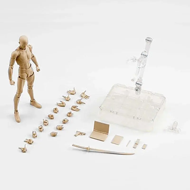 Body Kun Body Chan Drawing Toy Doll Male Female Set PVC Movable Action Figure Model For Artist Art Model Figure without box