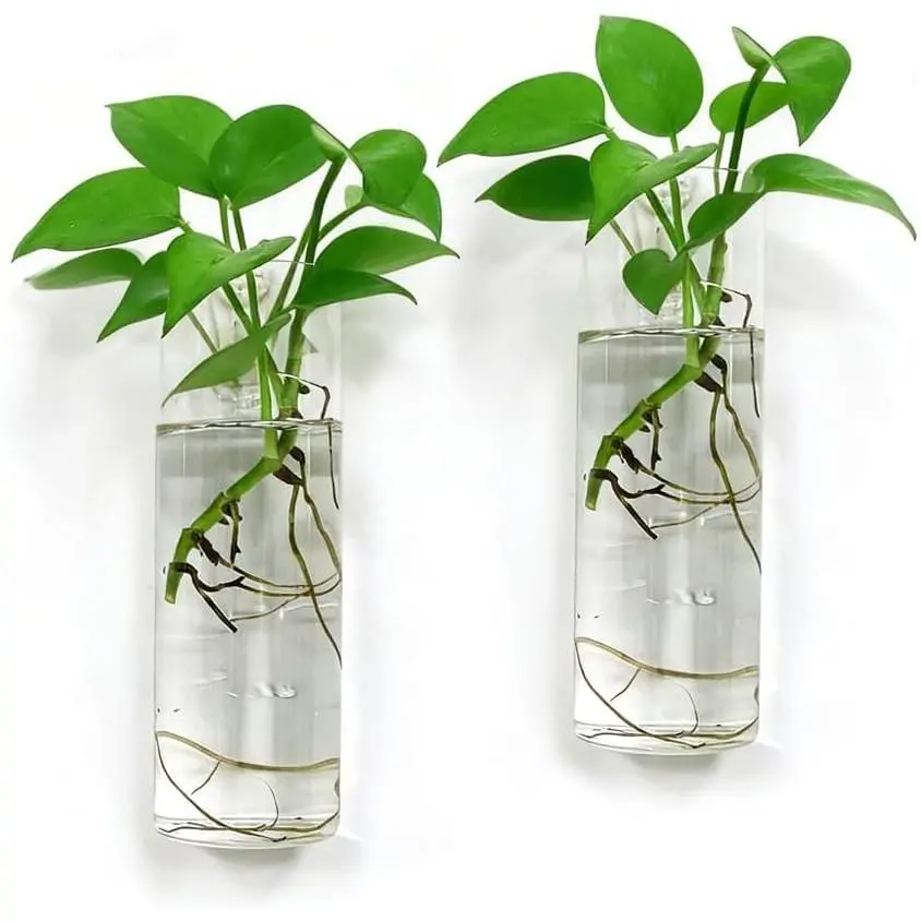 Modern Wall Planter Propagation Station Set of 2 - Hydroponics Glass Vases with Wall Holder Hanger, Indoor Home Decor for Living Room, Office, Bathroom, Hanging Hooks