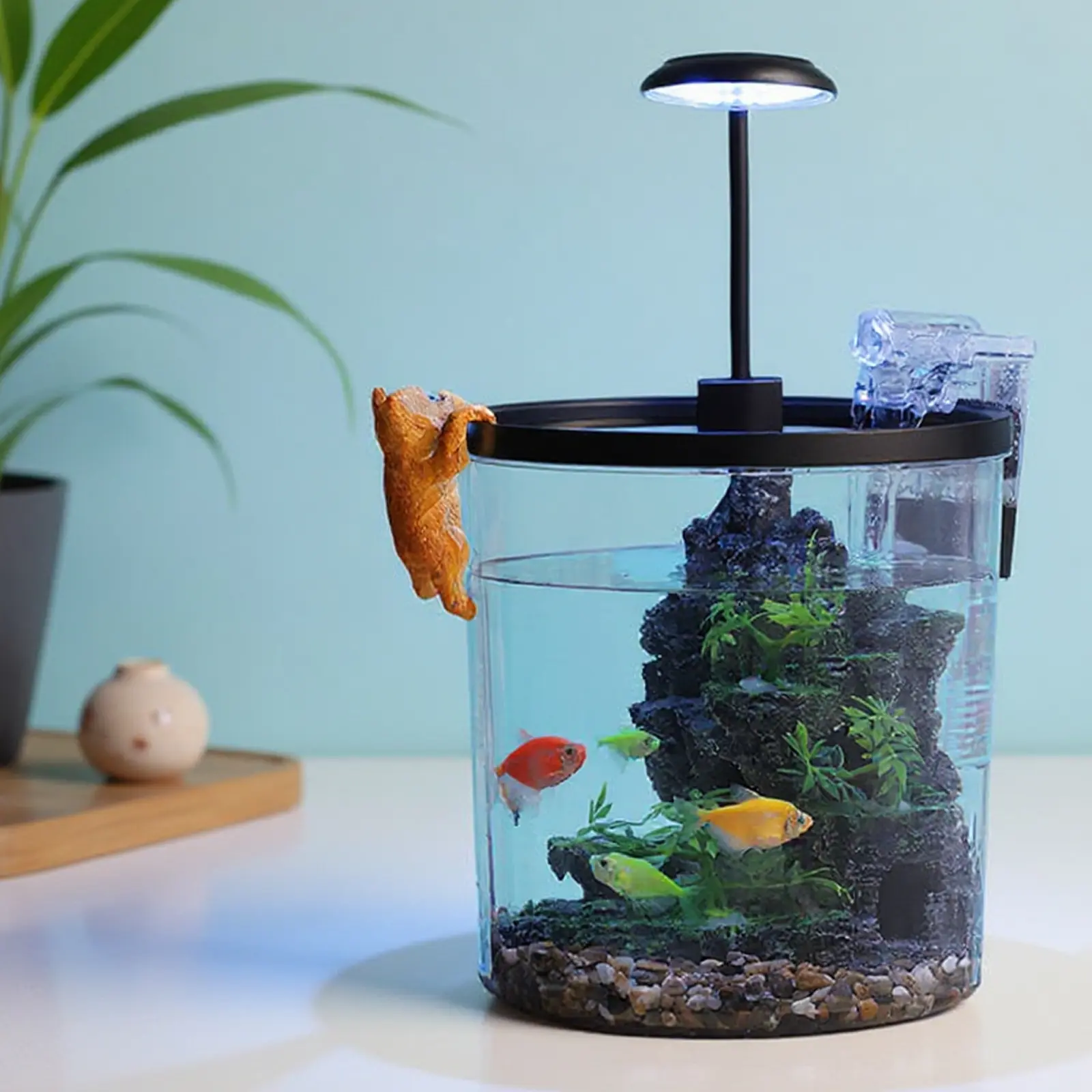 6-Piece Fish Tank Starter Kit – Acrylic, 3-Color LED Light & Quiet Filter – Includes Decor