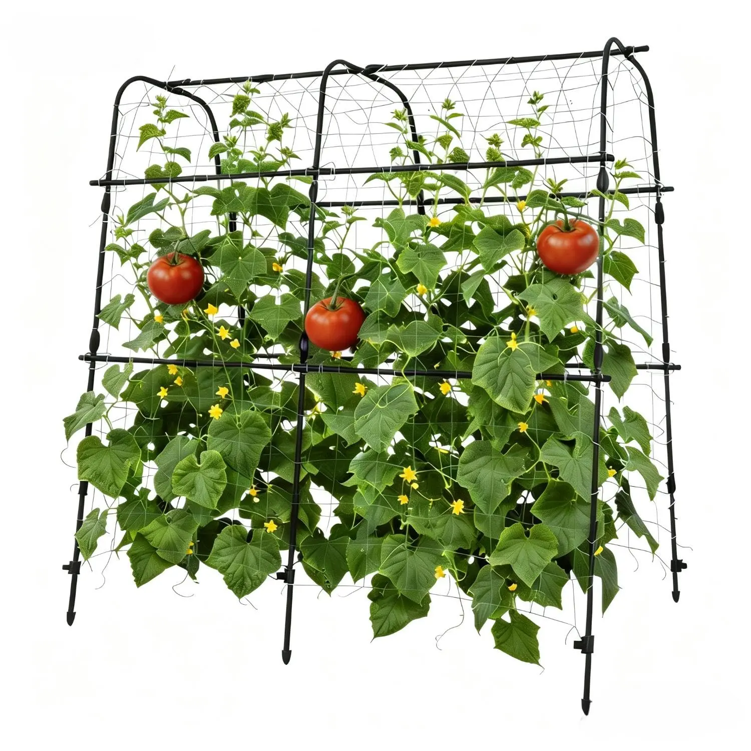 GARVEE - PE Metal Garden Mesh, 160 x 160 x 30 cm, Garden Arch with Cross Clip, Outdoor Climbing Plant Support, Garden Trellis for Cucumbers, Tomatoes, Peas