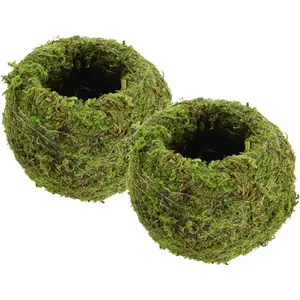 KO01-2 Kokedama, Japanese Moss Balls-4.0 x 3.5, Set of 2, Green