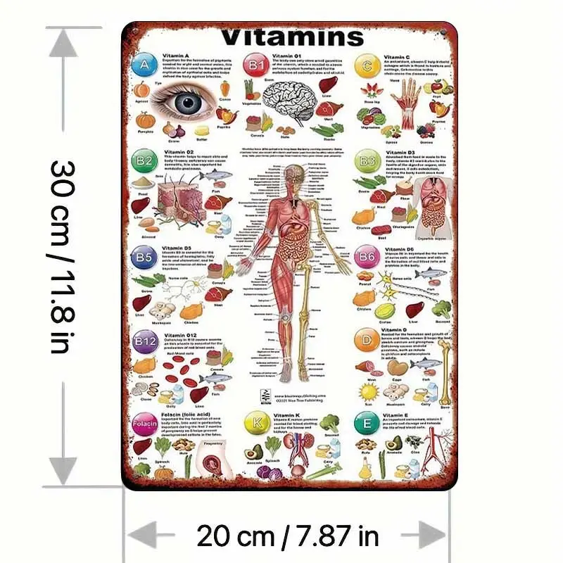 Vitamin Human Anatomy Illustration, Tinplate Decorative Painting, Wall-Mounted Poster, Human Skeletal System Diagram Suitable for Bedroom, Bar, Garage, Garden, And Outdoor Decor