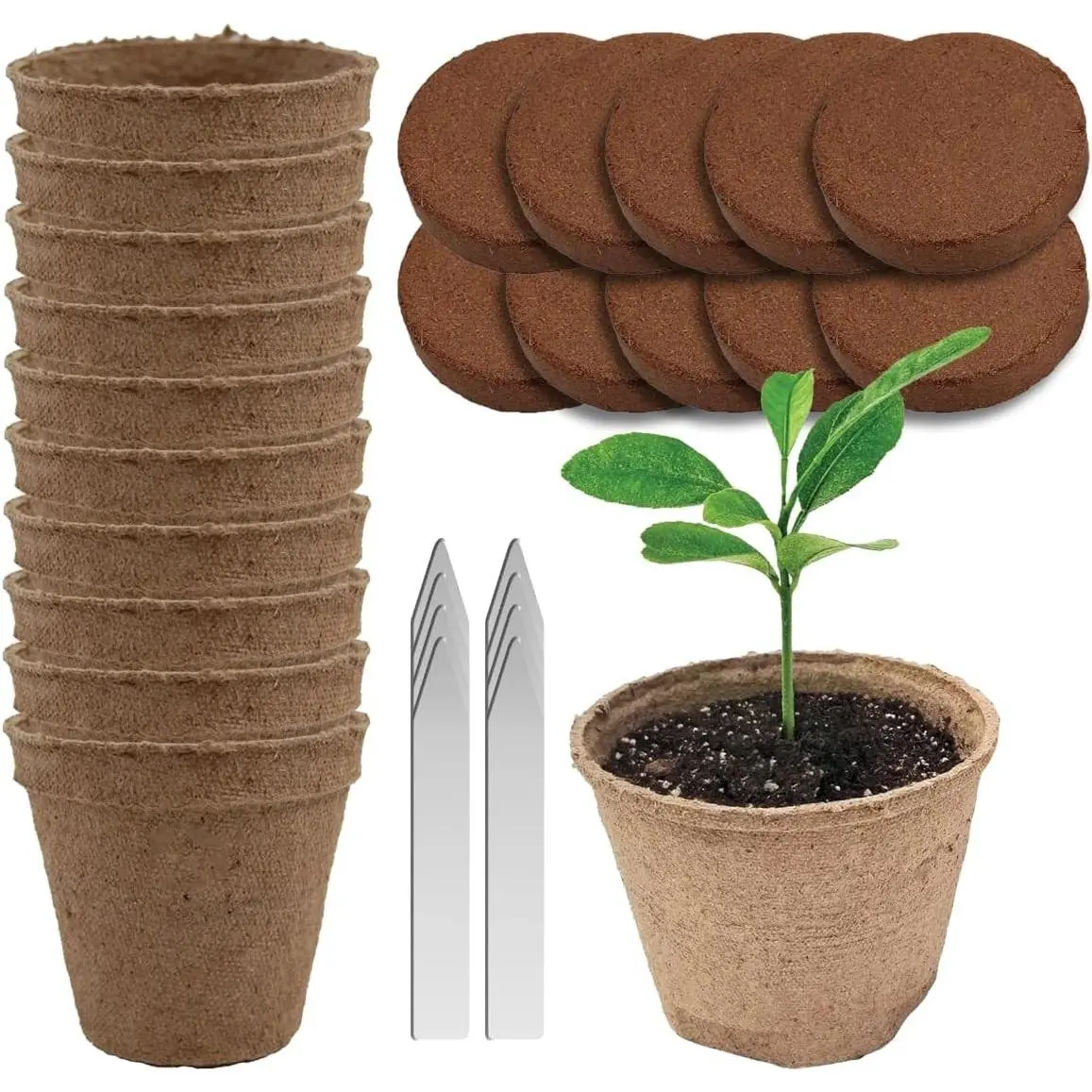 Seedling Starter Kit Germination Grow Cups and Soil (10 Pack) Biodegradable Peat Pots, Coco Coir Soil Discs, Plant Markers - Organic Grow Kit for Seed Germination, Indoor/Outdoor