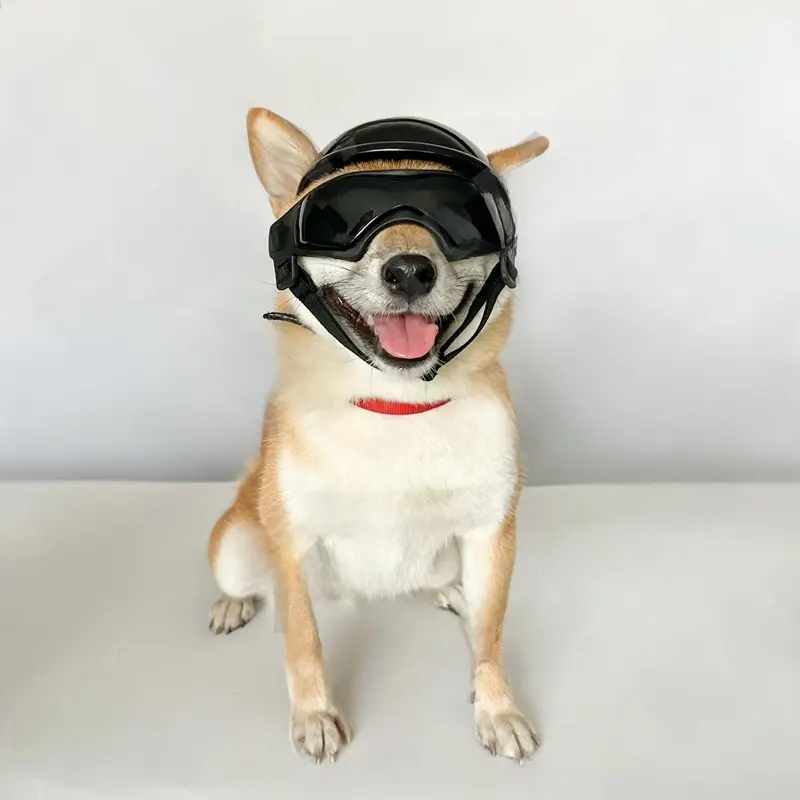 Copper Dog Motorcycle Helmet & Goggles Set - Multi-Size, Adjustable Fit, Matching Hat, Biker Safety Gear, Photo Prop & Costume Accessory, Costume Accessories