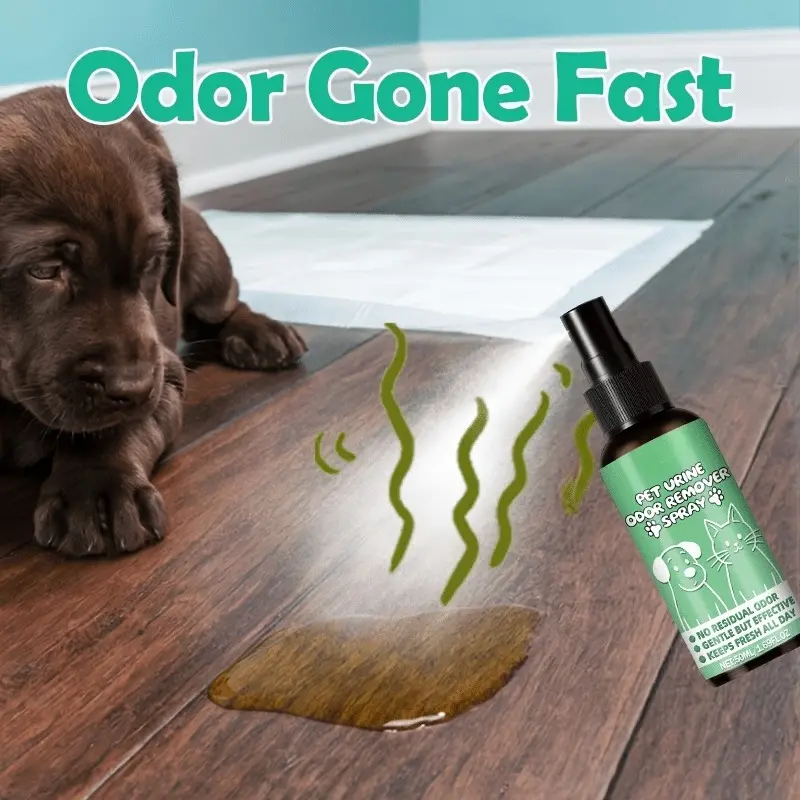 Pet urine stain deodorization spray - efficient deodorant, for stubborn urine odor, suitable for carpets, floors and furniture, pet friendly, residue free, quick drying, especially suitable for busy pet owners