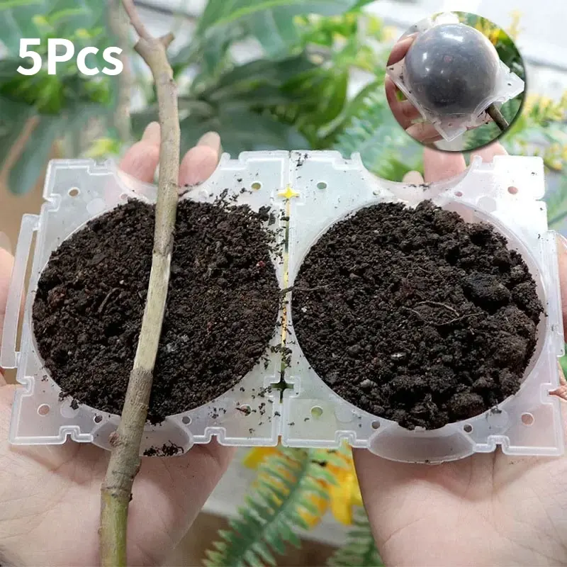 5Pcs Tree Branch High-pressure Propagation Box, Horticultural High-altitude Pressure Rooting Device, Detachable Transparent Plant Rooting Cultivation Ball, Stable and Durable, Easy To Disassemble, Horticultural Supplies