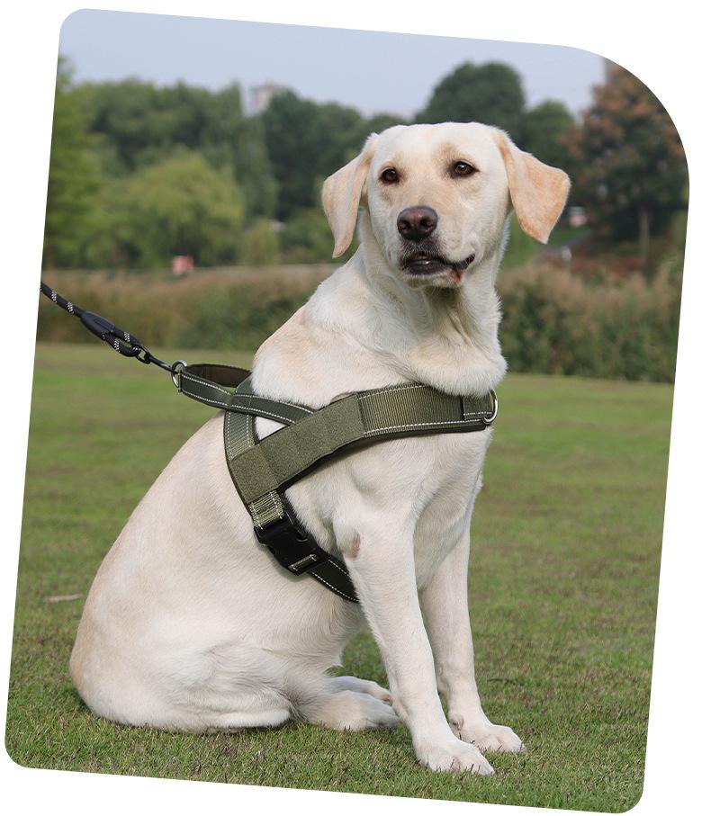 No-Pull Saddle Dog Harness Lightweight T-Shape Tactical Vest for Large Medium Dogs Heavy Duty Reflective Easy On/Off Escape Proof Training Walking Multiple Colors