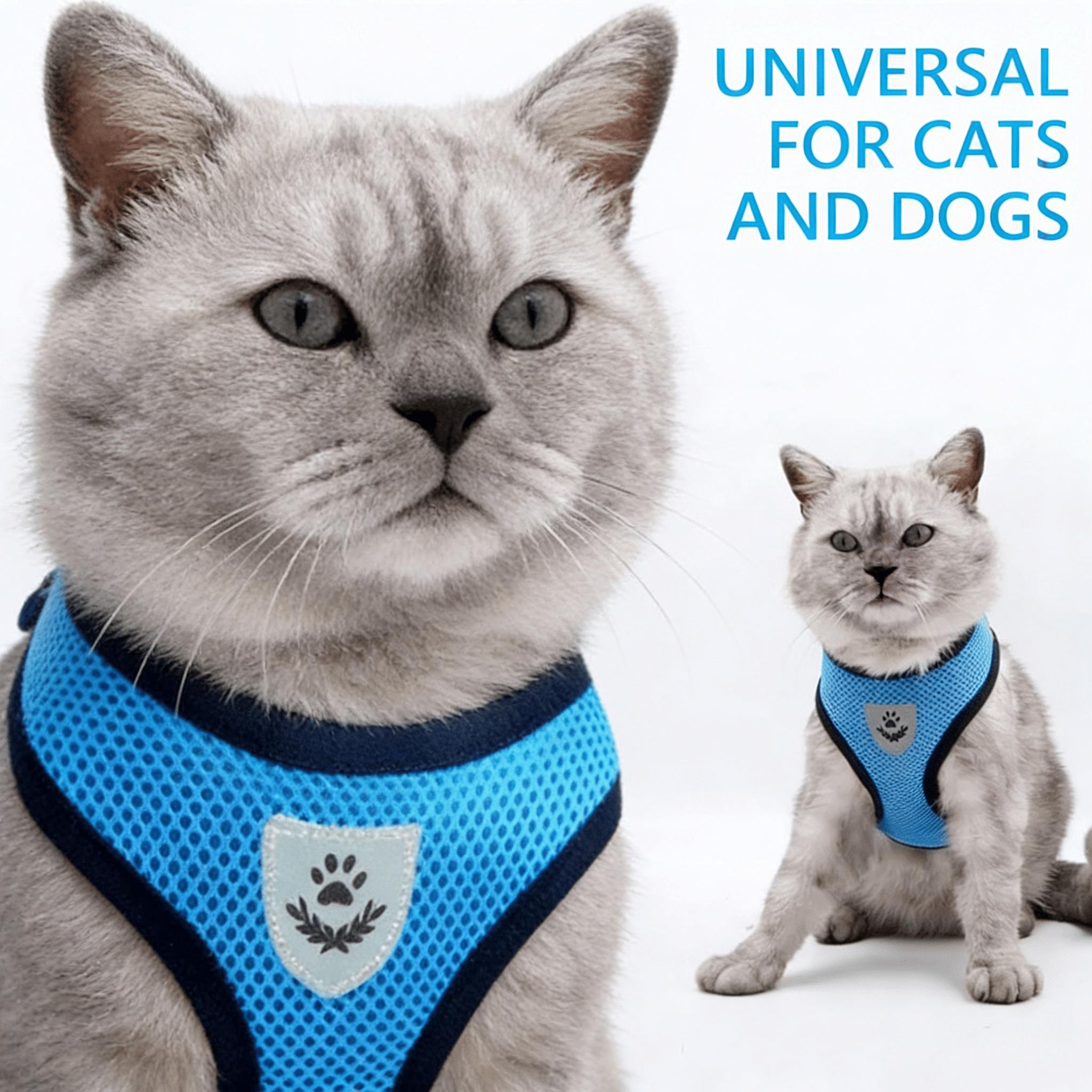 Safe and Comfortable Adjustable Reflective Harness for Cats & Dogs - Control Vest with Matching Leash in Sizes S to XL