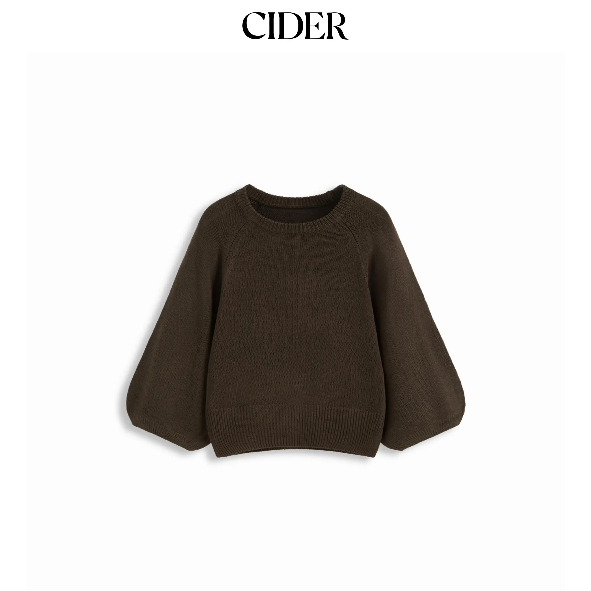 Cider Knit Round Neck Lantern Sleeve Oversized Top SummerFinds