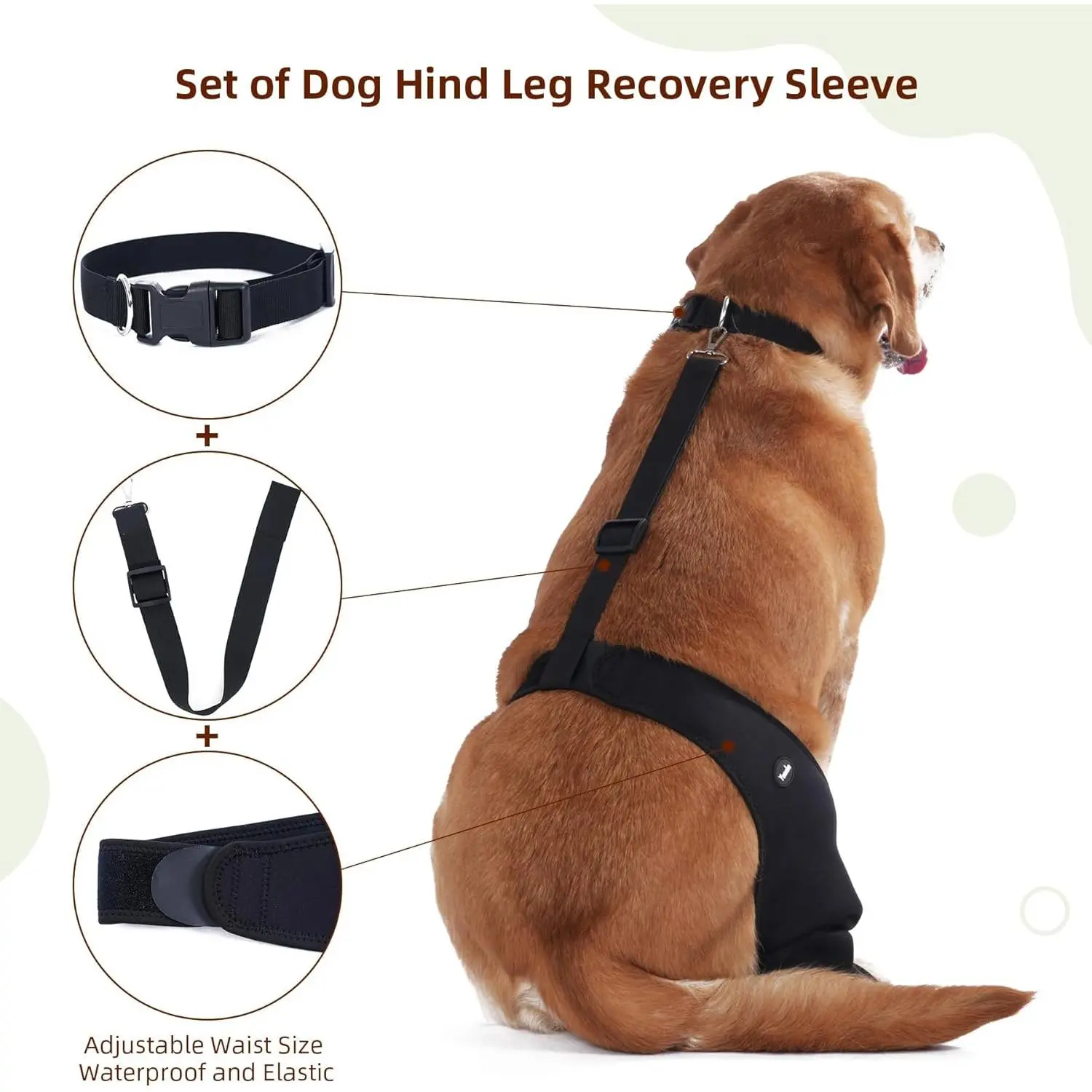Dog Recovery Sleeve for Back Leg, Breathable Protective Cover to Help Reduce Licking