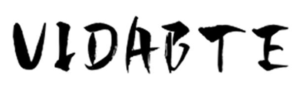 H72-PT 4C Ignition Car Key, Uncut Ignition Car Keys for 1996 - 2006 Ford Expedition Explorer F-150 Mustang Lincoln Navigator Mercury, H72 Blank Chipped Key with Chip (2 pcs)