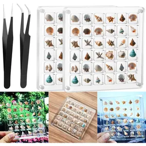 Acrylic Seashell Display Box,Clear Sea Shell Holder Display Box,Beach Shelling Collecting Tools,Storage Organizer Tiny Case for Seashell Diamond Beads (2 pack-72 grids)