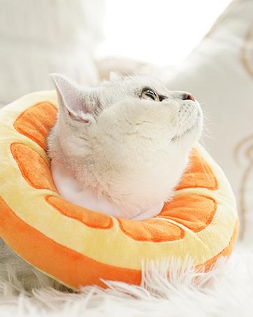 ANWA Adjustable Cat Cone Collar Soft, Cute Cat Recovery Collar, Cat Cones After Surgery for Kittens