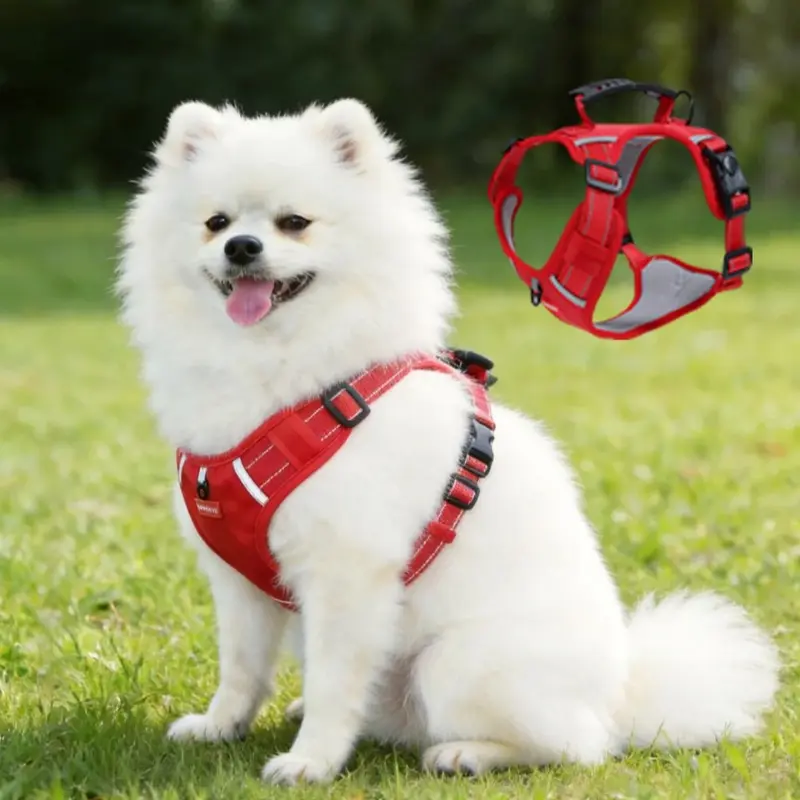 Adjustable Pet Harness, Comfortable and Durable, Ideal for Outdoor Activities, Perfect for Small Dogs, Secure and Stylish Design