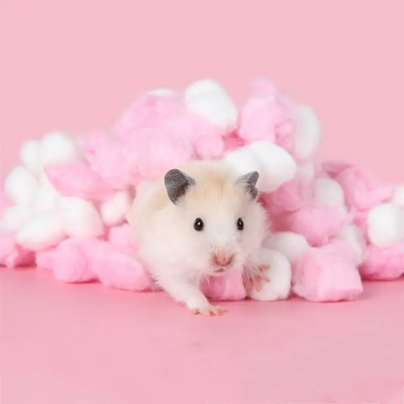 100pcs Hamster Warm Cotton Balls, Colorful Fat-Free Cotton for Winter Insulation, Pet Bedding Material, Animal Nesting Supplies