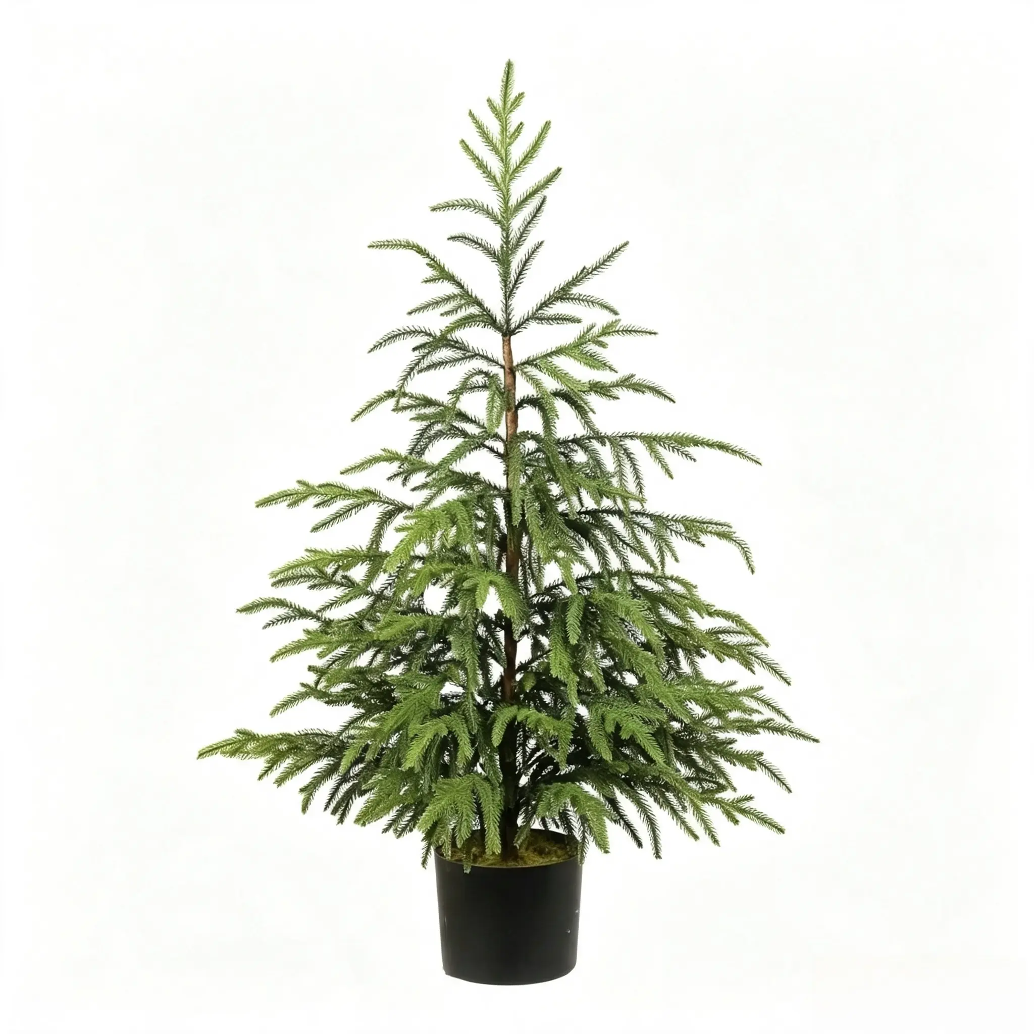 Realistic artificial Norfolk pine tree with branches and needles - pre-decorated, perfect for Christmas, year-round tabletop or wall decoration; rustic-style plastic pine tree suitable for front doors, porches, weddings, parties - pot not included.