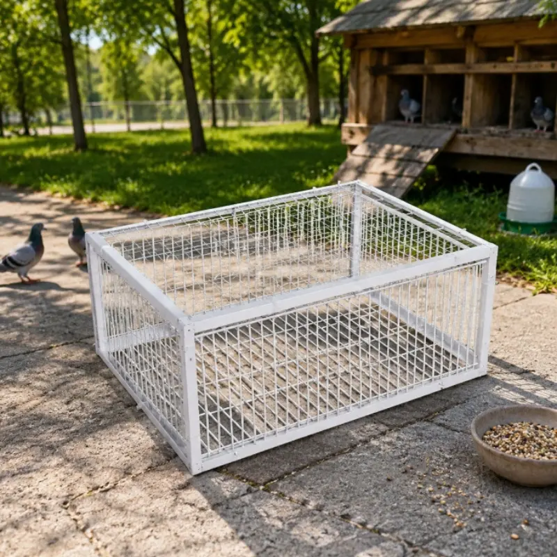 Outdoor Pigeon Loft Cage, Reinforced Frame Durable Design, Automatic One-Way Door, Large Capacity Pigeon Storage for Farms