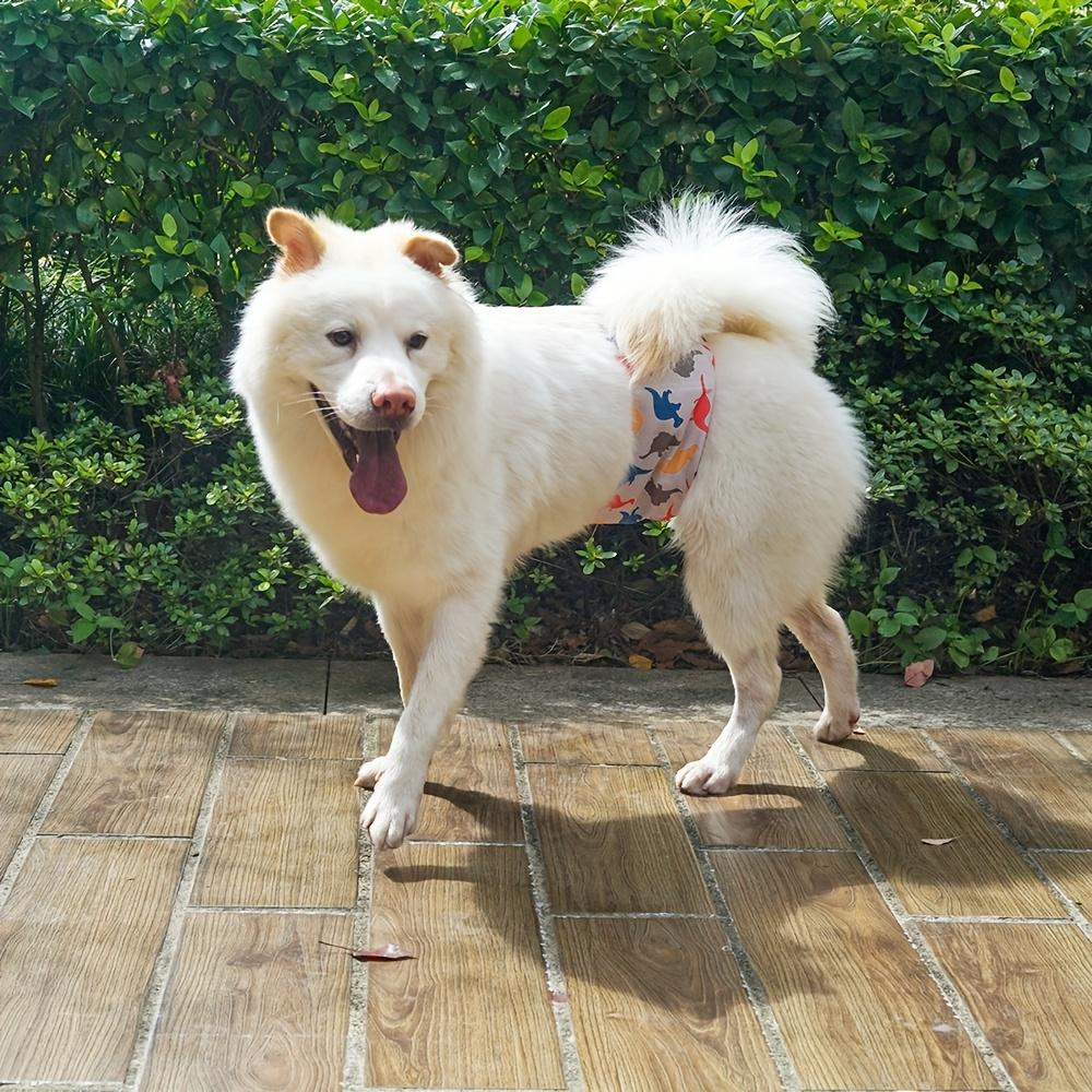 [Reusable Dog Diaper] 1pc Washable Male Dog Belly Bands Reusable Dog Diaper with High Absorbency Liner, Breathable Cloth Underwear for Potty Training