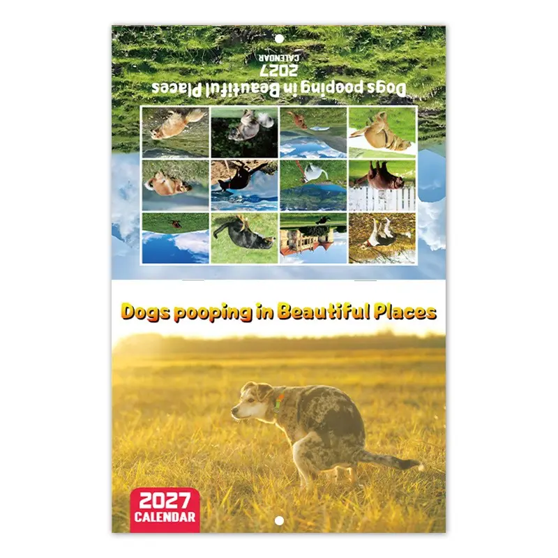 Funny 2027 Dog Wall Calendar, Dogs Doing Funny Things in Beautiful Places, Unique Animal Calendar Gift for Dog Owners & Pet Lovers