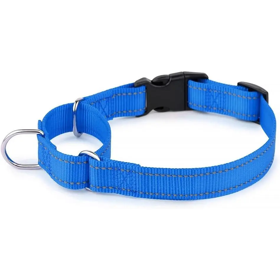 Reflective Martingale Collar with Buckle - Durable and Adjustable No Pulling Training Dog Choker Collar for Small Medium Large Dogs, Royal Blue, S