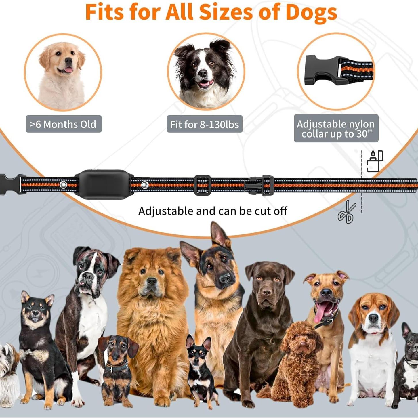 Dog Shock Collar with Remote and LED, 1 Box Waterproof Electric Collar with Beep, Vibration & Safe Shock, Training Collars for Small Medium Large Dogs