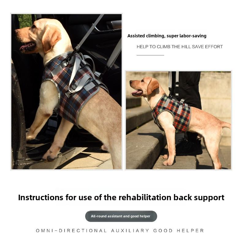 Dog Rear Leg Recovery Sling Post-Operative Rehabilitation Harness for Senior & Disabled Dogs Assistive Walking Leg Brace New Arrival Support Harness Injury Aid
