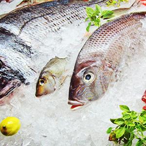 PW Icebags-DS-100ct 10lb Ice Bags with Drawstring-100ct